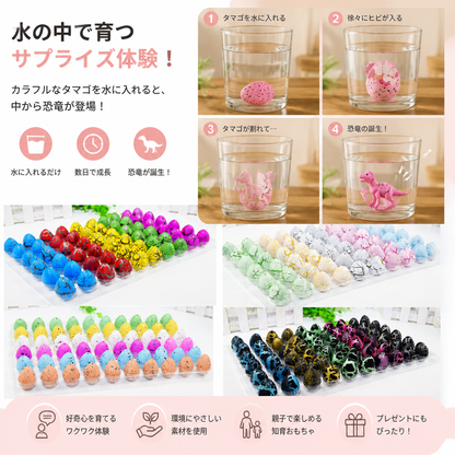 恐竜の孵化エッグキット – 水の中で成長するサプライズ恐竜入りエッグ