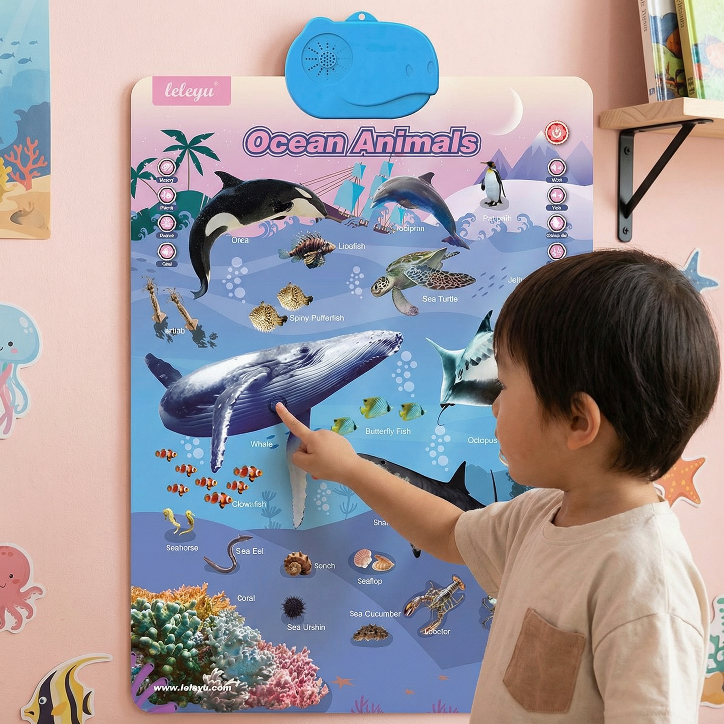 子供用の英語学習ボード