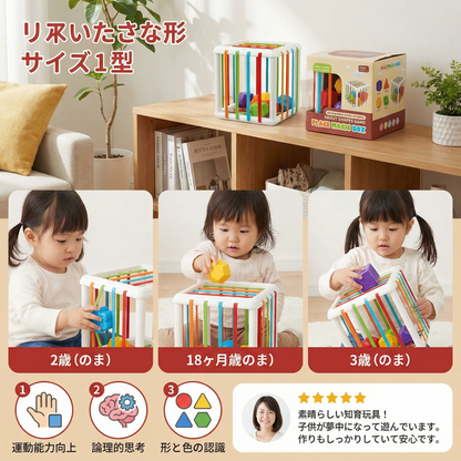 モンテッソーリ 形合わせボックス – 仕分け＆運動能力ゲーム
