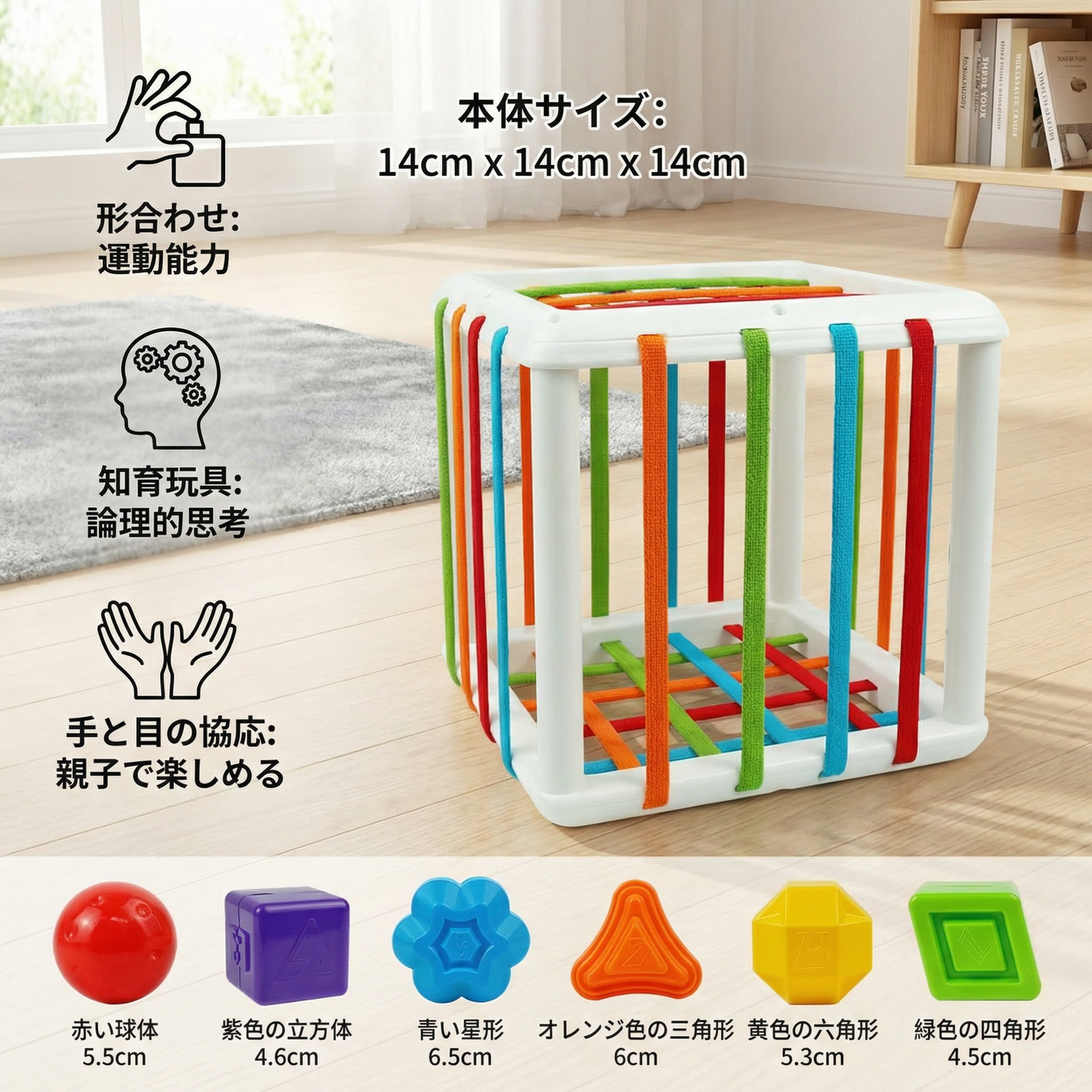 モンテッソーリ 形合わせボックス – 仕分け＆運動能力ゲーム