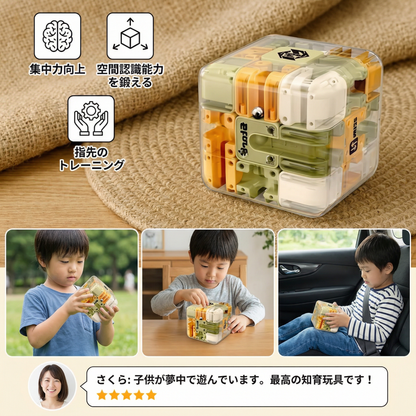 3Dラビリンス パズルキューブ